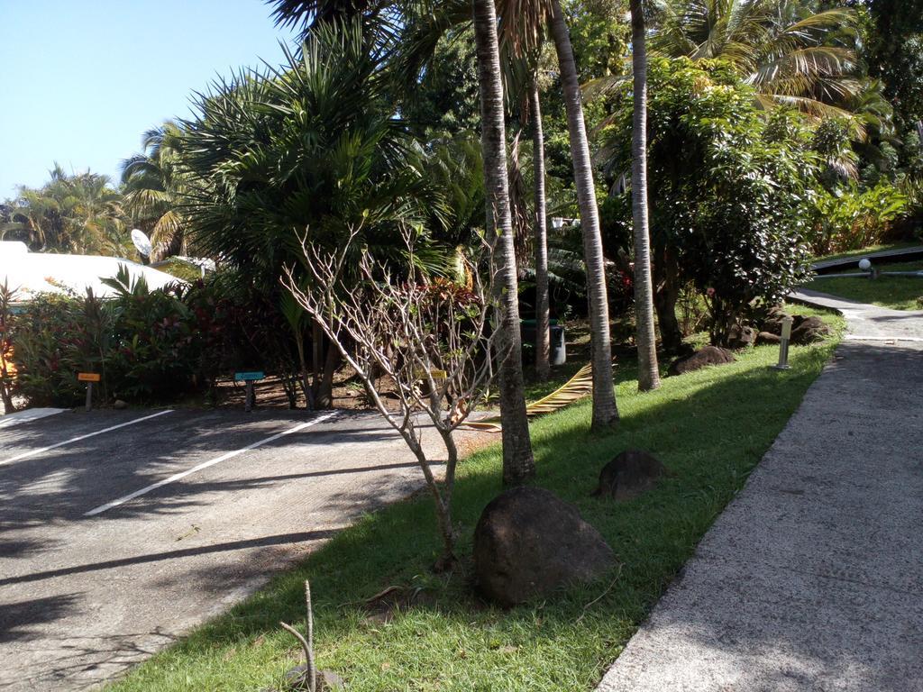 Vila Oasis De Grande Anse Deshaies Exteriér fotografie
